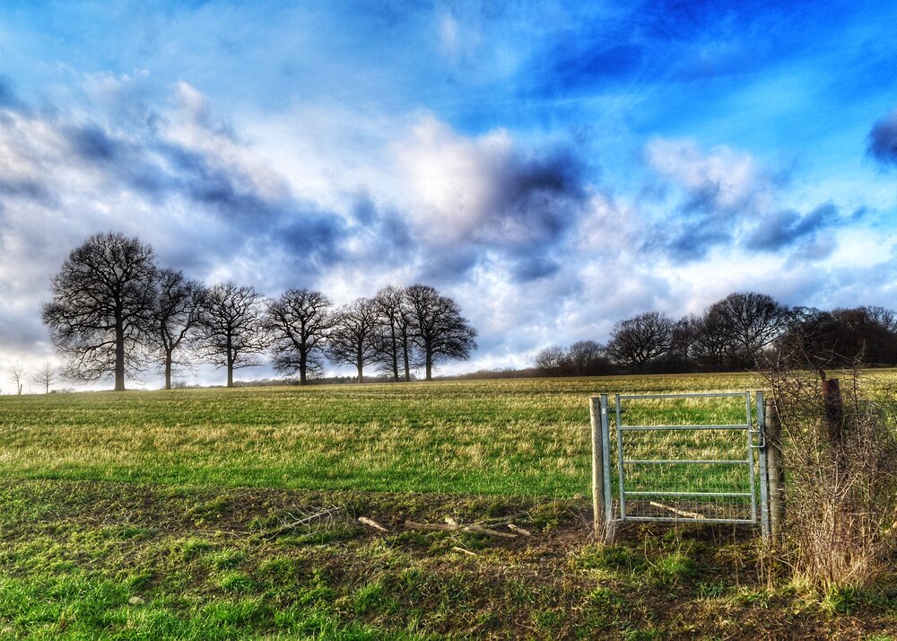 Walk Tonbridge - The Far Side of The Weald - Sevenoaks walks - Weald to charcott footpath- blue sky - gate.jpeg