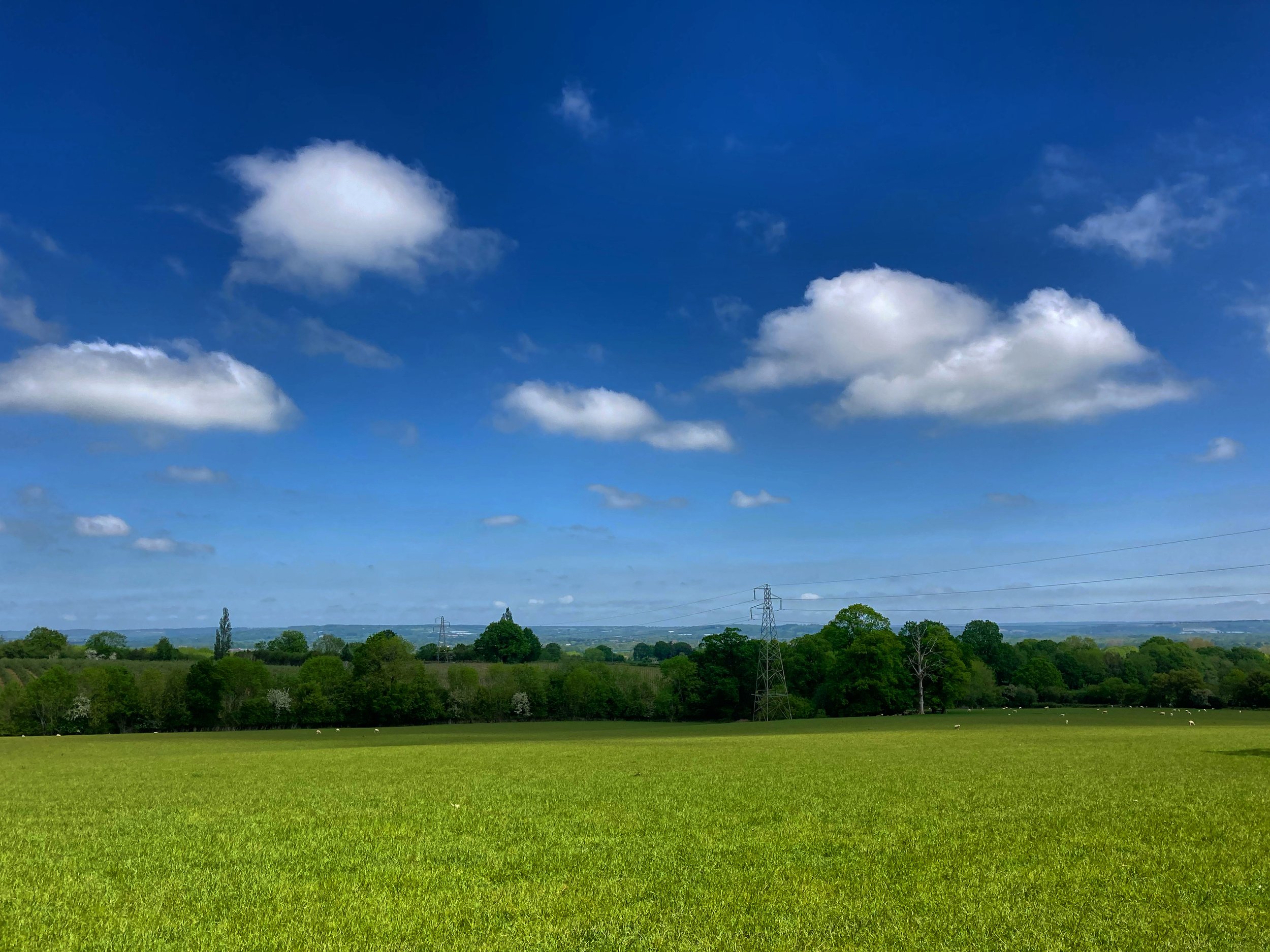 Walk Tonbridge - Walk 23 - The Trinity - Capel -  blue sky - orchard view.jpg
