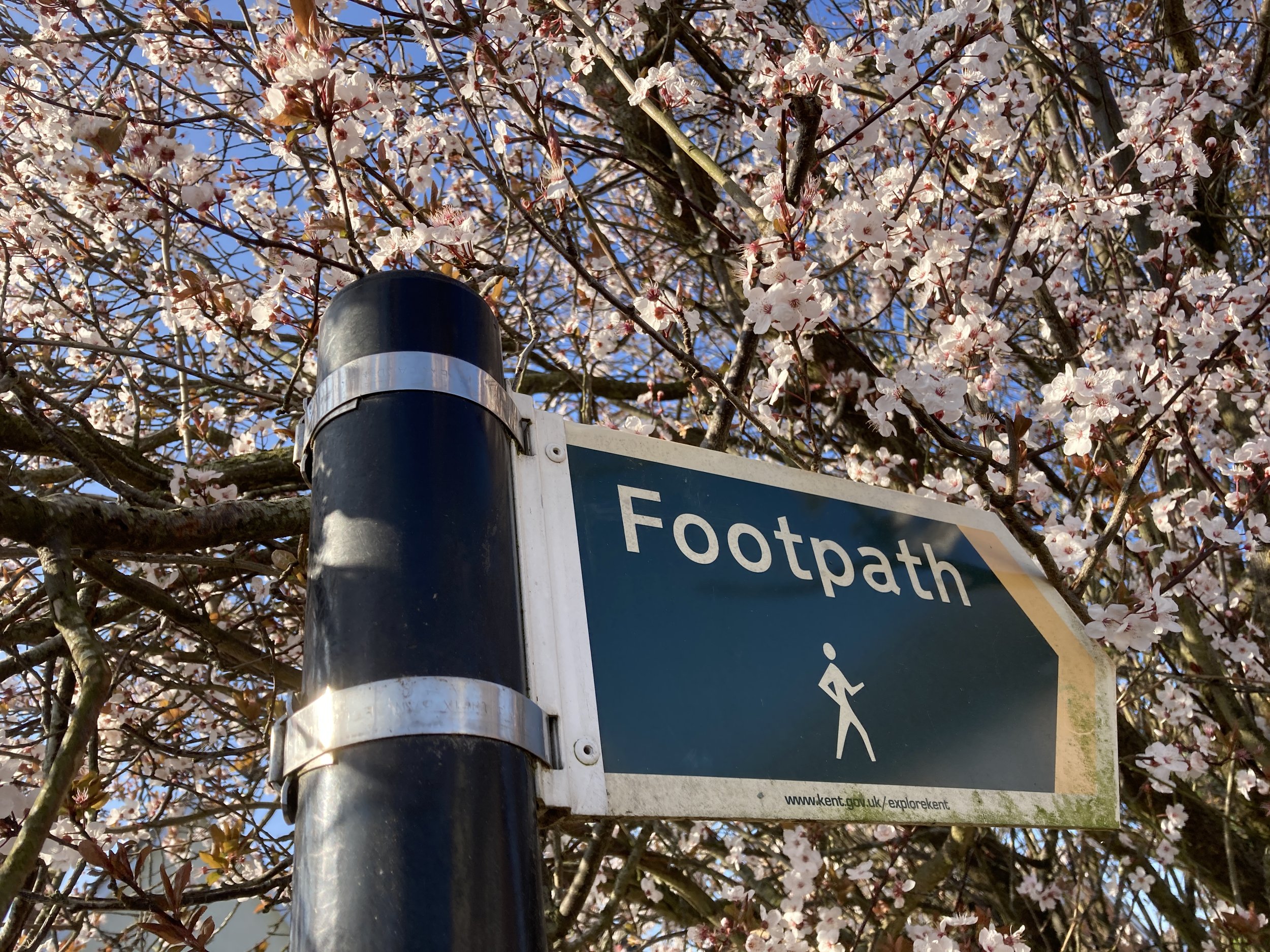 Walk Tonbridge -  Walk 24 - Train Spotting - Tonbridge - blossom footpath  -  Tonbridge History.JPG