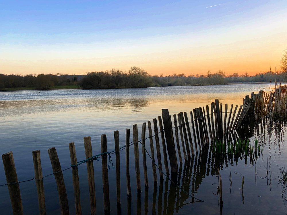 Walk Tonbridge -  Walk 24 - Train Spotting - Tonbridge - Barden Lake - sunset - fence  Tonbridge History.jpg