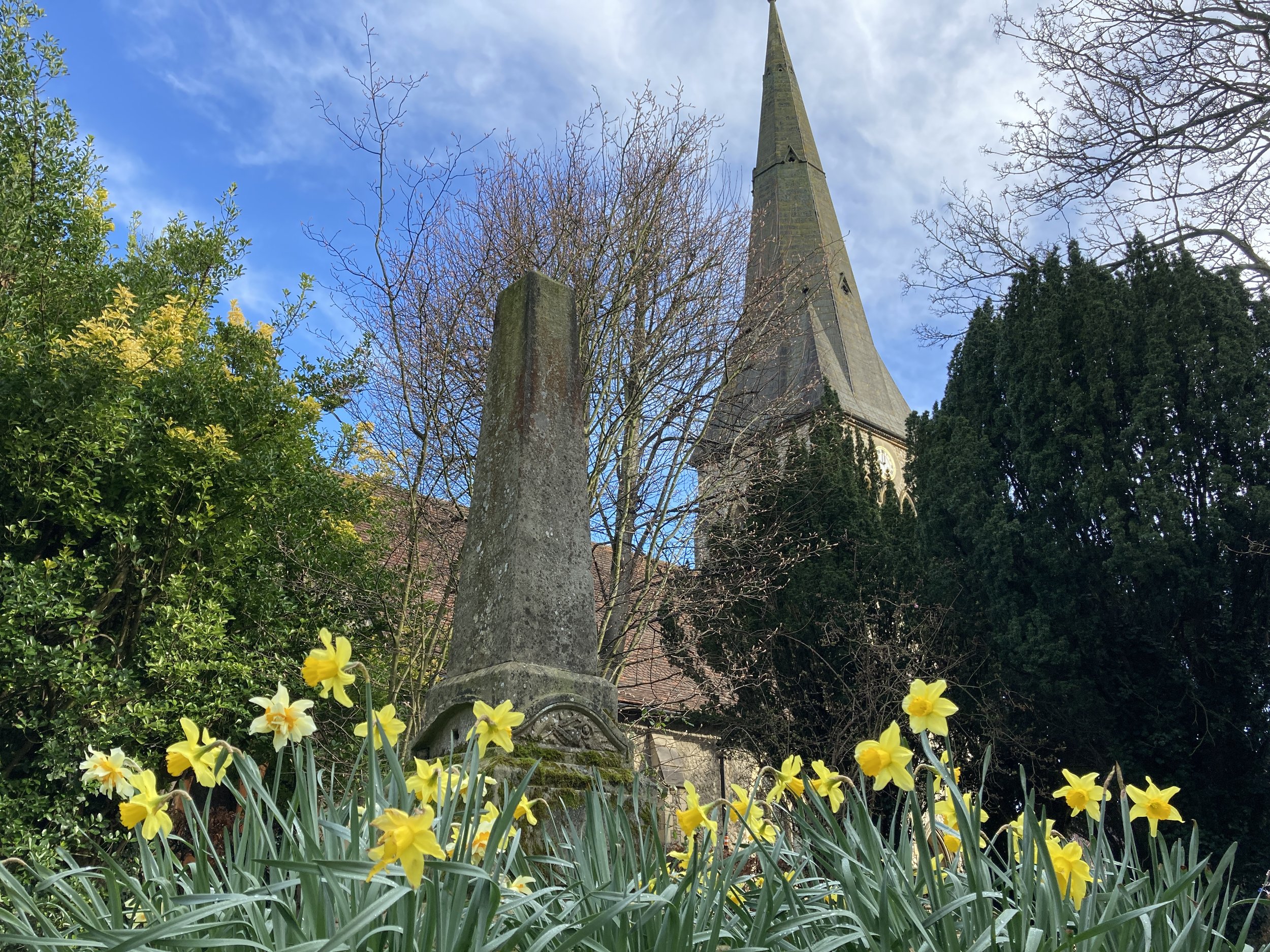 Walk Tonbridge -  Walk 24 - Train Spotting -  St Stephens  Church -  daffodils - Tonbridge History (1).JPG