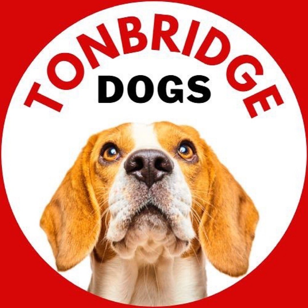 Tonbridge Dogs.jpg