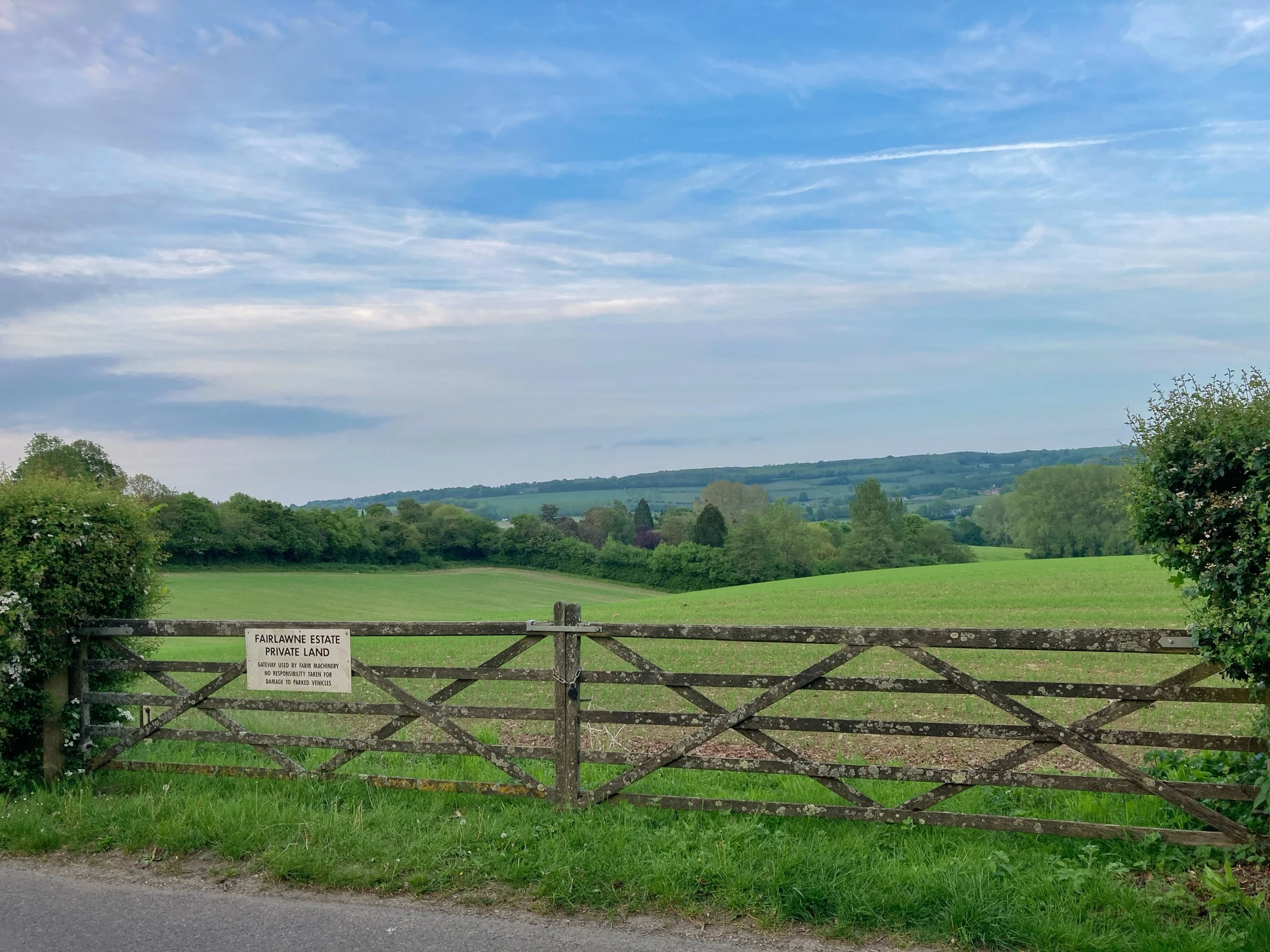 Walk Tonbridge Club - Twixmas Hike - gate -Dec 2025.jpg