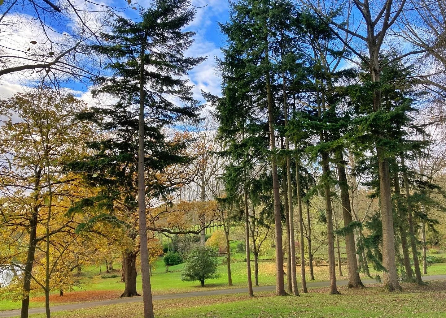 Walk Tonbridge Club - Twixmas Hike - Dec 2025.JPG