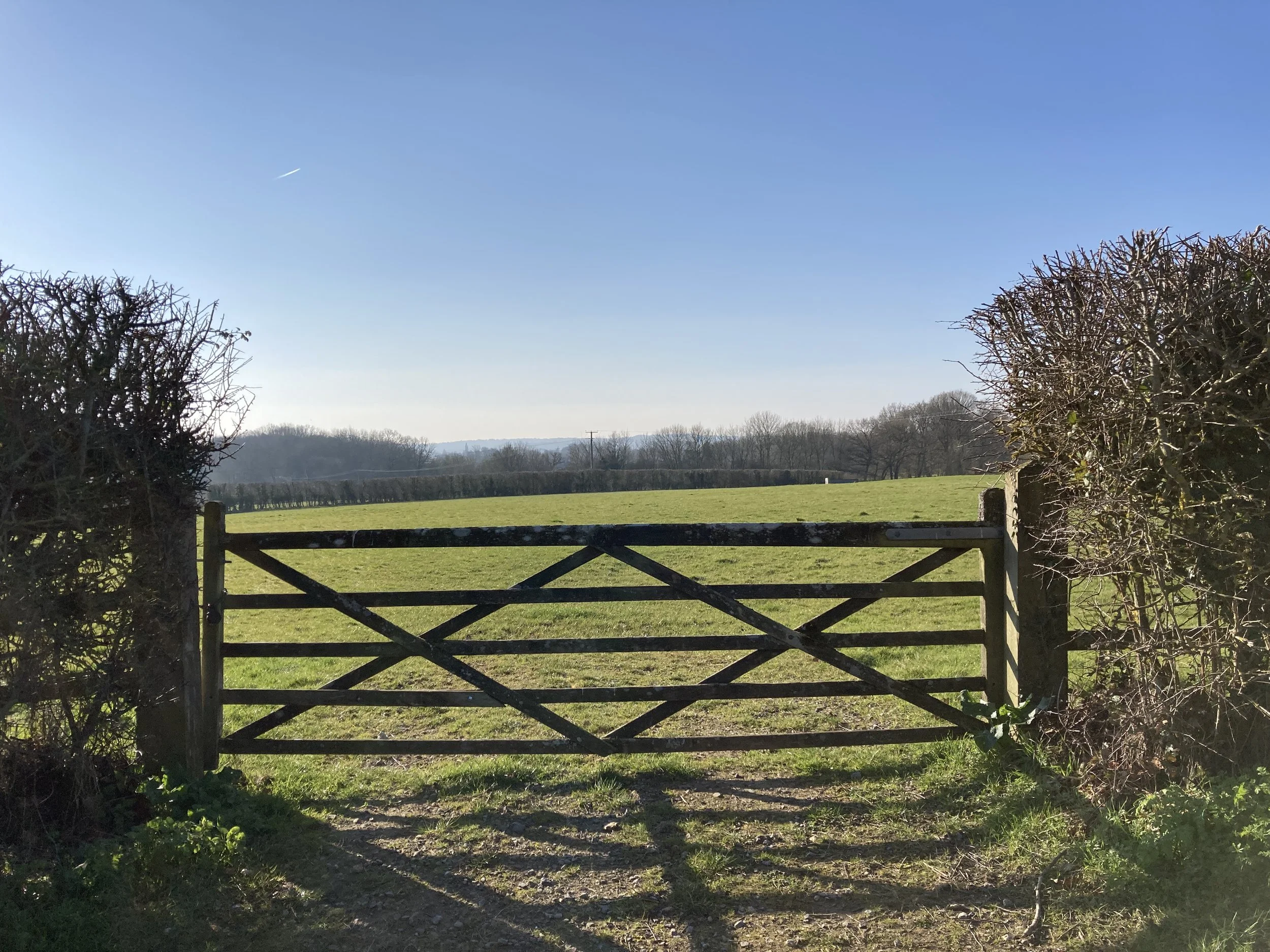 Walk Tonbridge Club - Winter Hike - Gate.JPG