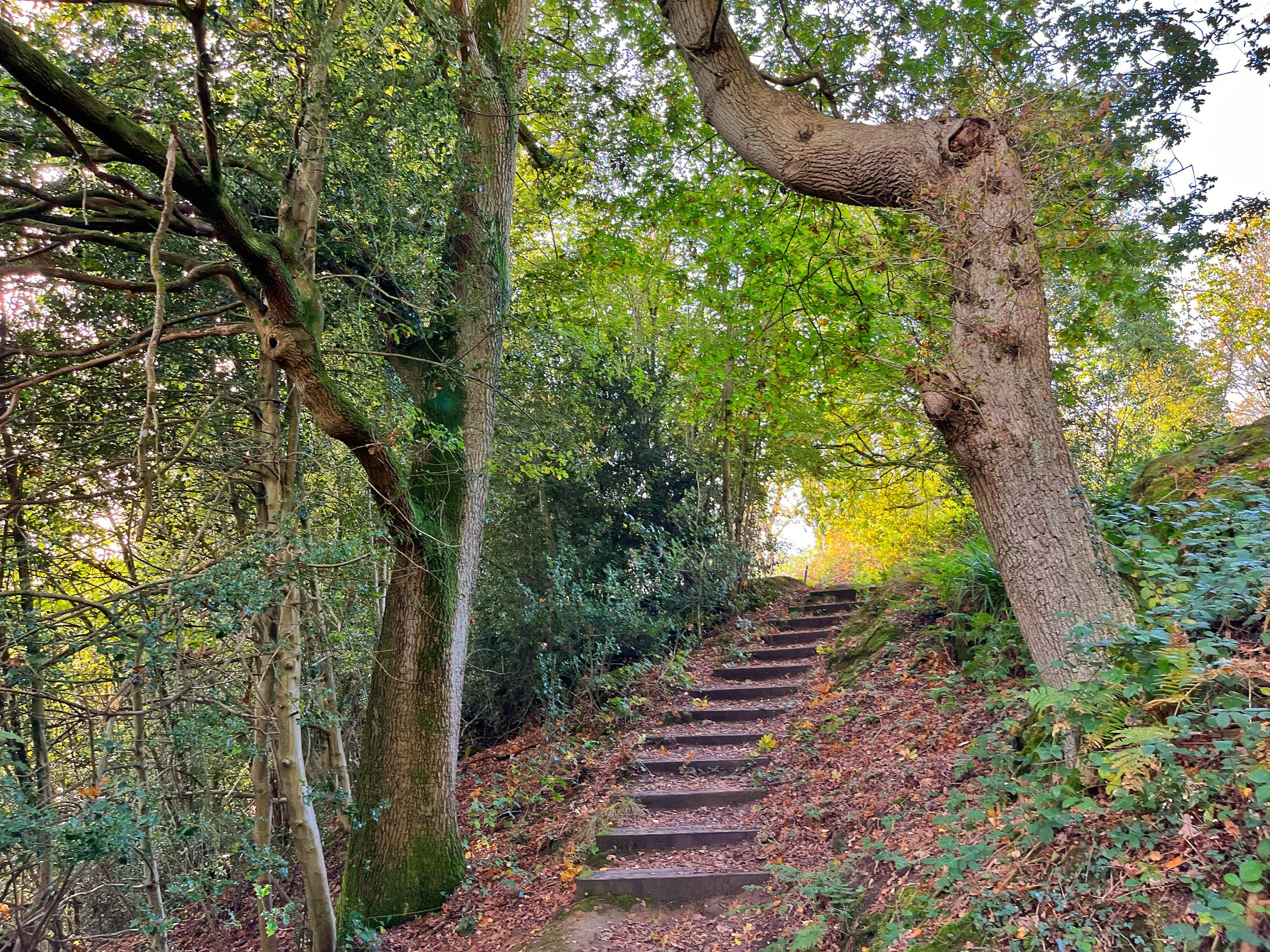 Walk Tonbridge Club - High Rocks - Happy Valley.jpg