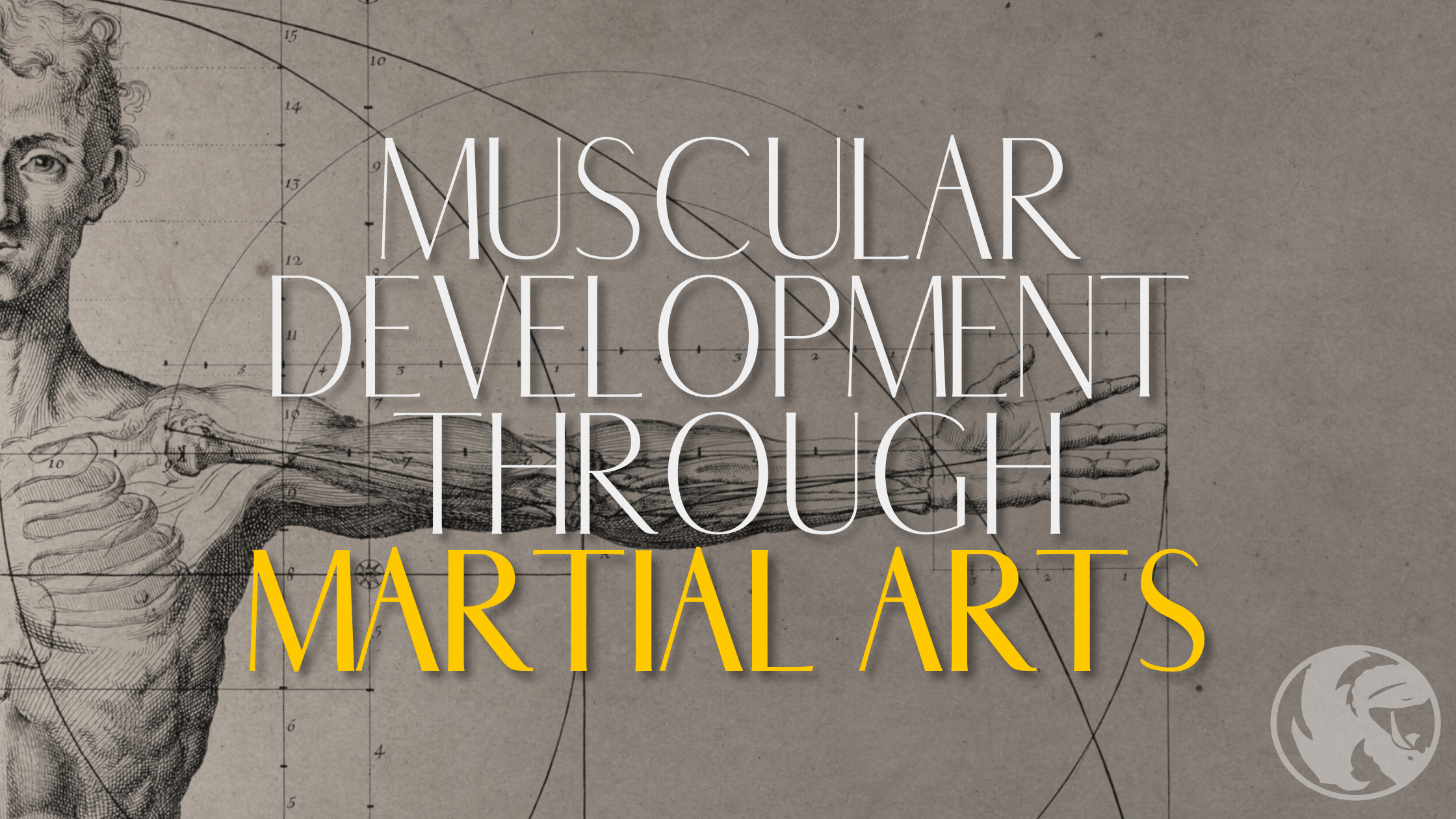 Muscular Development through Martial Arts