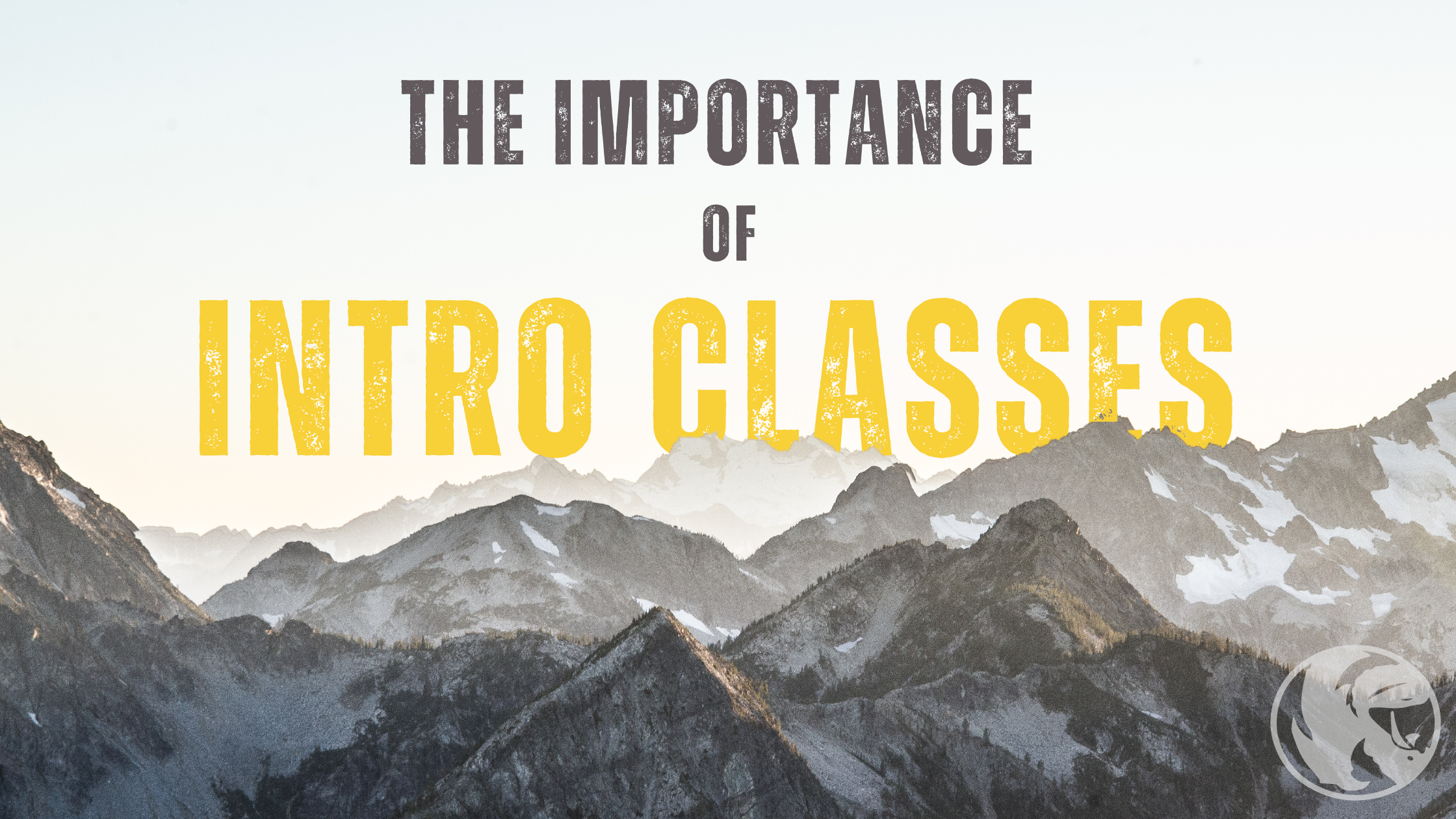 The Importance of Intro Classes in Martial Arts — Team Chip Martial Arts