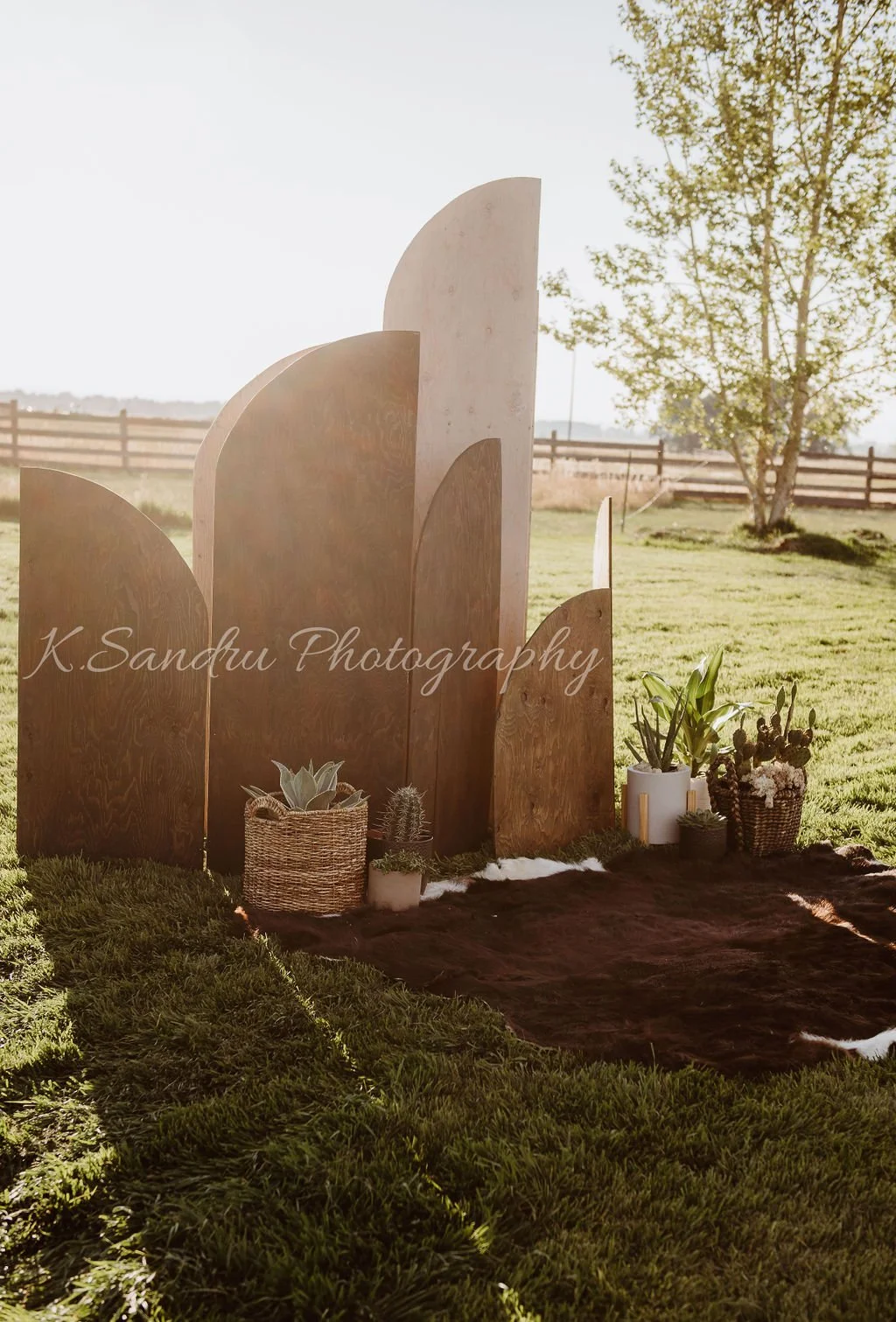 WesternMTwedding-122.jpg