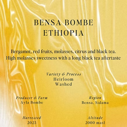 Bensa Bombe, Ethiopia - SUMO