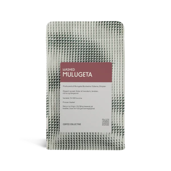 MulugetaWashed250gfront.webp