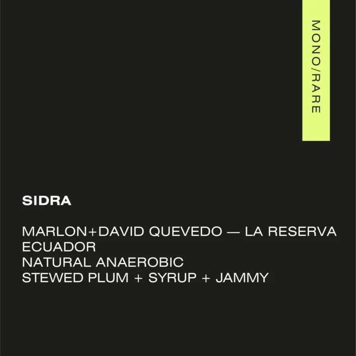 template-sidra-705x705.png.webp