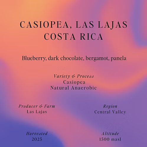 Casiopea, Costa Rica - SUMO