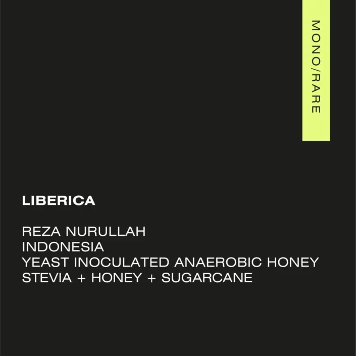 template-liberica-2-705x705.png.webp