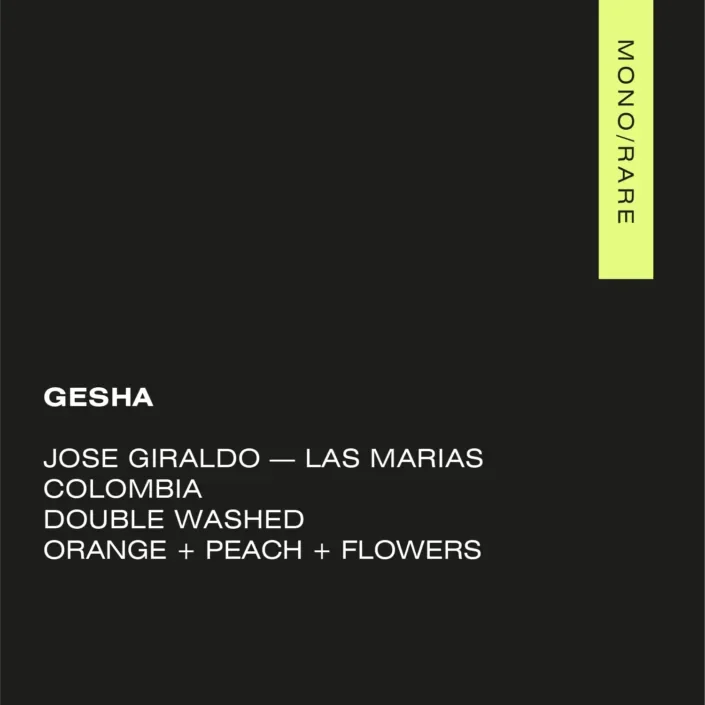 GESHA-LAS-MARIAS-705x705.png.webp