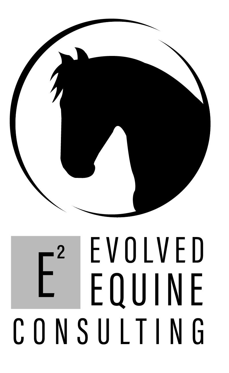 Evolved Equine Consulting