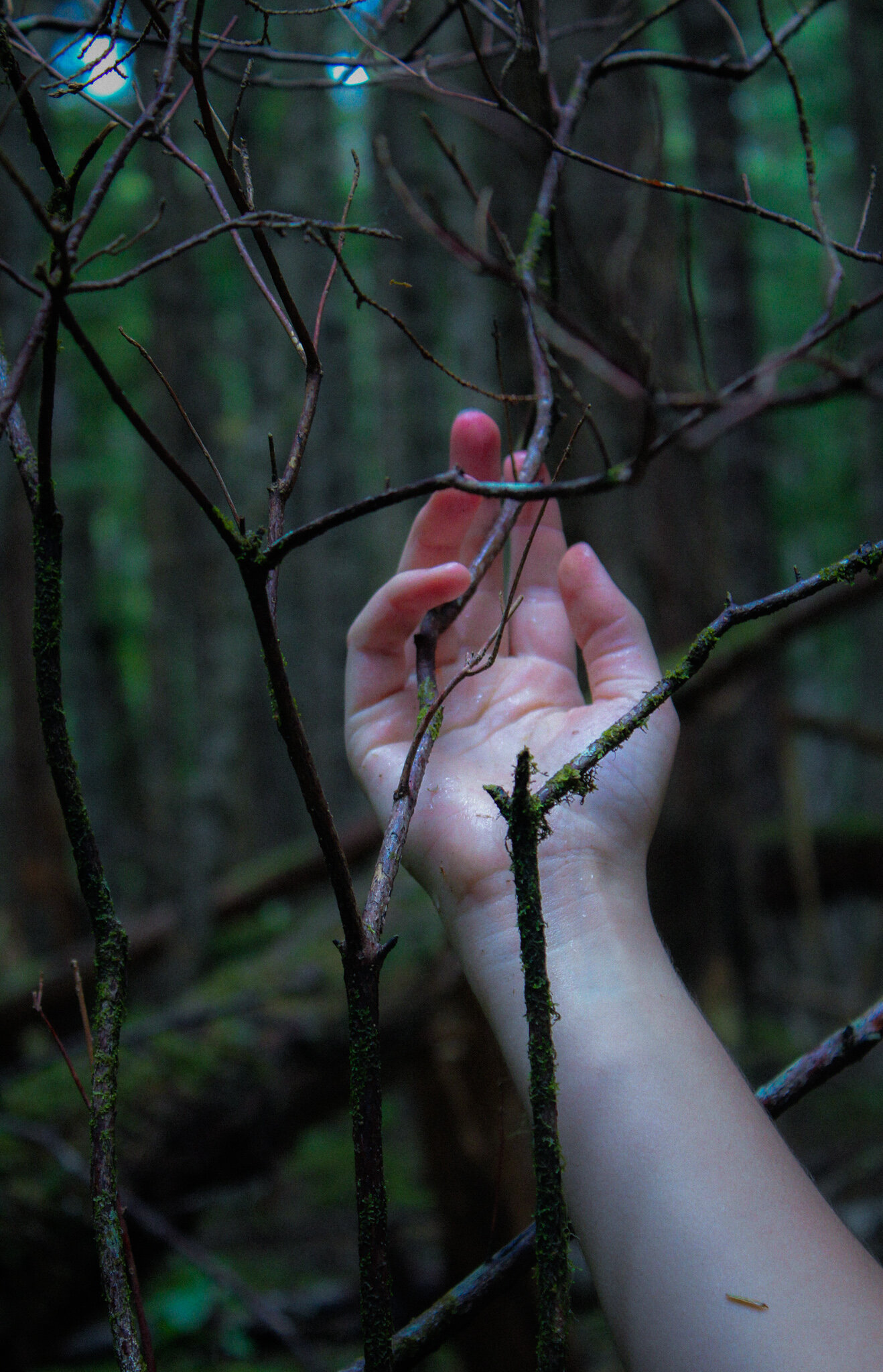 “Series: INHALE” - (Digital Photography) - I had the privilege of photographing this series in Alaska, where I worked this summer. It gave me the chance to symbolically “inhale” following a lot of feelings of existentialism around climate change and