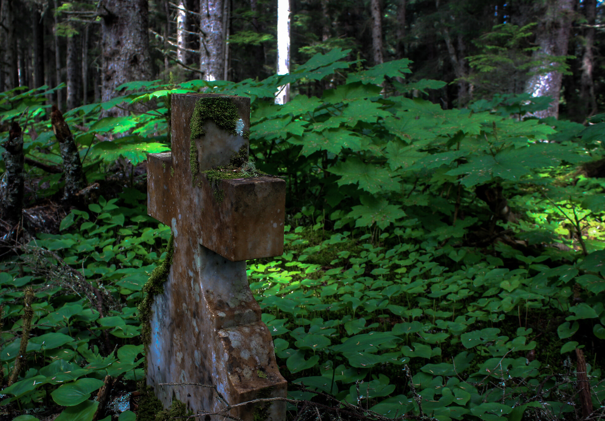 “Series: INHALE” - (Digital Photography) - I had the privilege of photographing this series in Alaska, where I worked this summer. It gave me the chance to symbolically “inhale” following a lot of feelings of existentialism around climate change and