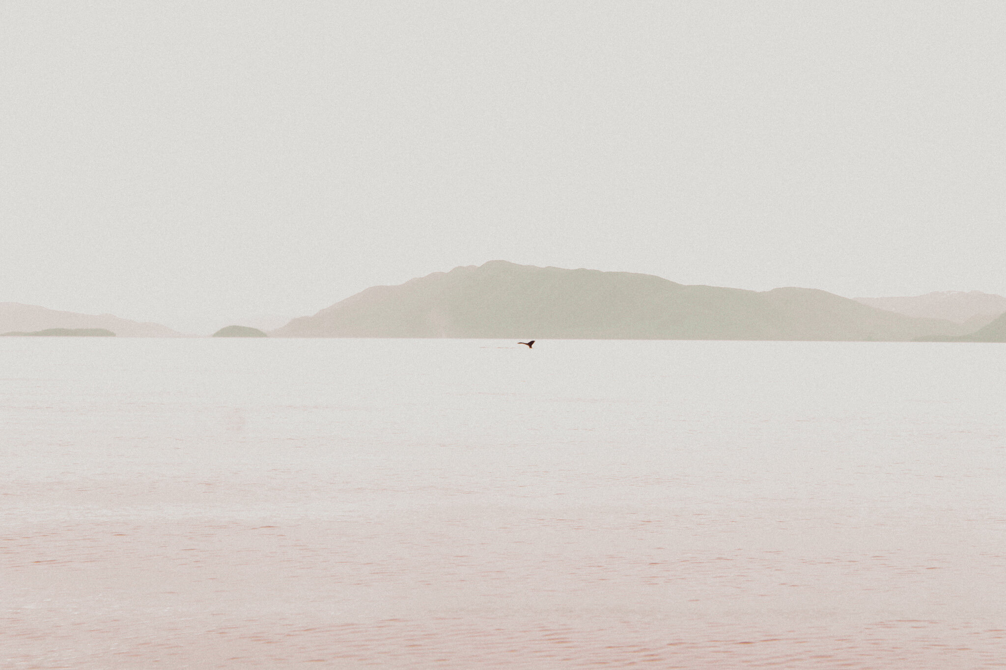 “Series: INHALE” - (Digital Photography) - I had the privilege of photographing this series in Alaska, where I worked this summer. It gave me the chance to symbolically “inhale” following a lot of feelings of existentialism around climate change and