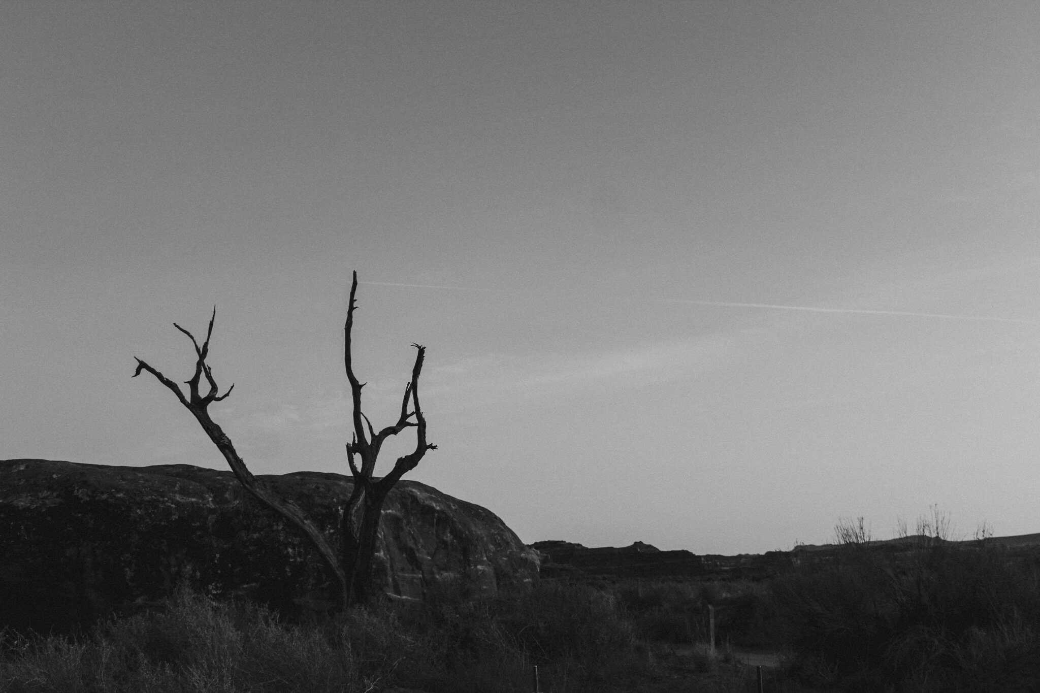 “Series: EXHALE” - (Digital Photography) - When I think of my climate future, a lot of hinges on the political decisions of my country. So constructing a visual of my future became kind of impossible until recently, when the U.S. elected its 46th Pre