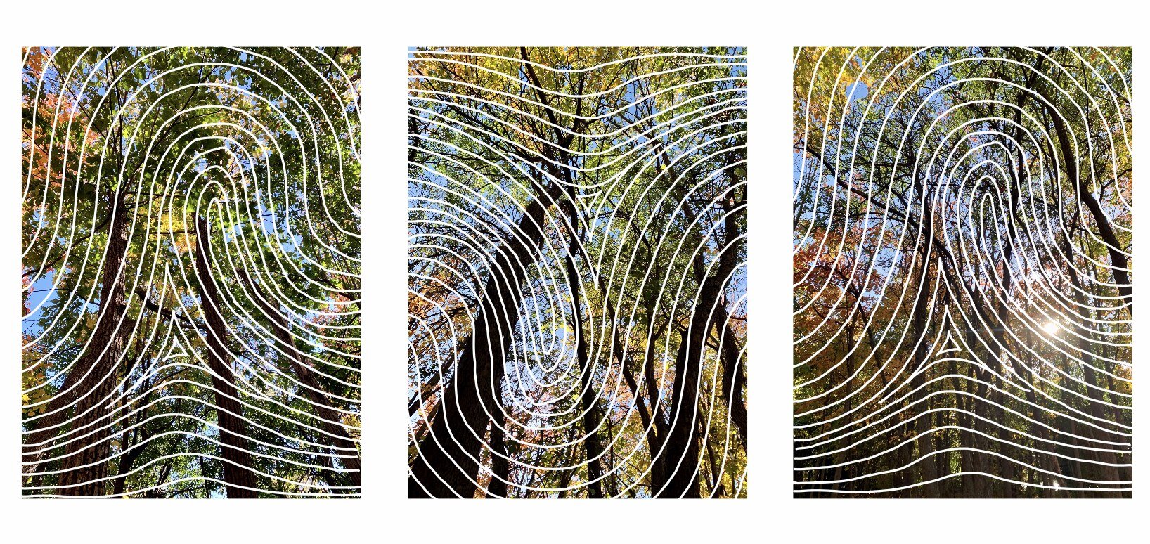 "Fingerprint" - (Digital) - My vision for a climate justice future is of everyone’s voices being heard and of a community that supports each other. I want everyone’s unique perspectives to be heard in this fight for a better future. This piece shows