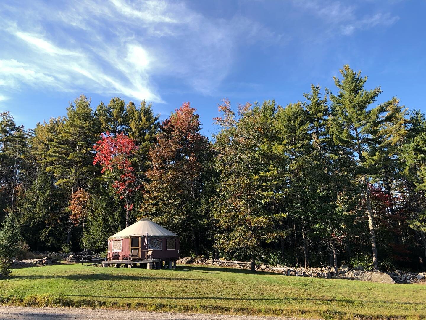 If you&rsquo;re looking for a mid-grid/glamping get away check out the farm&rsquo;s yurt! Available mid May through September, it&rsquo;s a peaceful retreat with stunning views, and if your timing is right&hellip; blueberries! Airbnb link is in our p