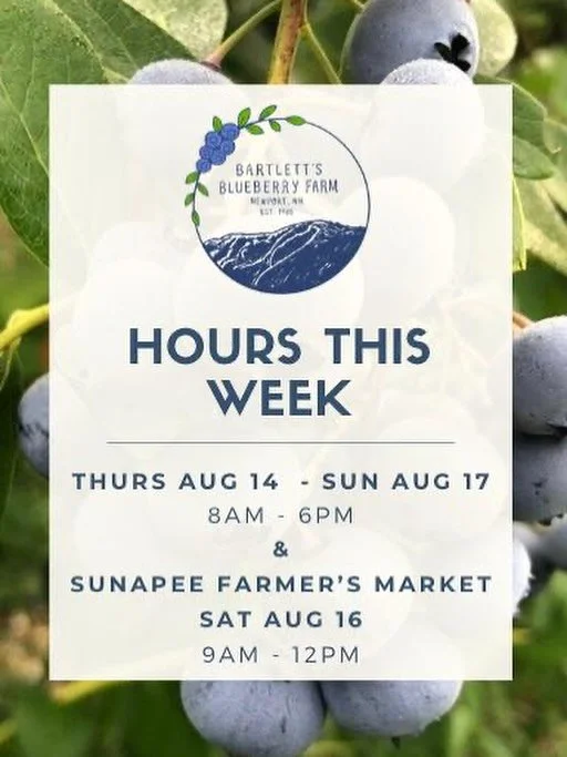 It&rsquo;s going to be a hot one this week! For the safety and enjoyment of our pickers we&rsquo;re going to be closed Tuesday and Wednesday this week and will see you all in the patch on THURSDAY AUG 14th!! 🫐