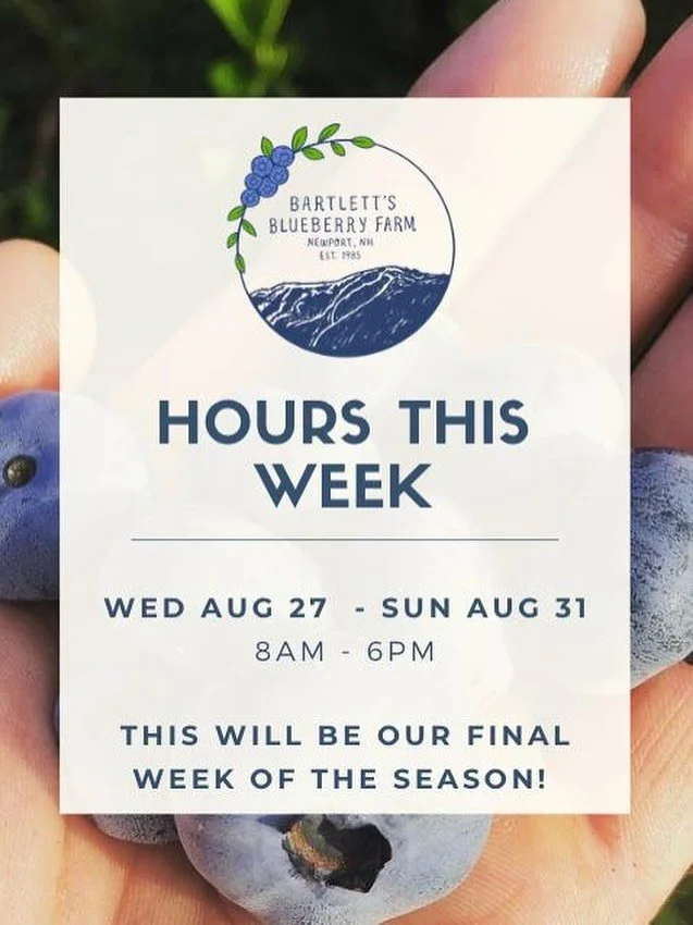We are STILL OPEN!! Come visit us for the final week of an amazing season! The berries are still great so come early! :) 🫐🫐🫐