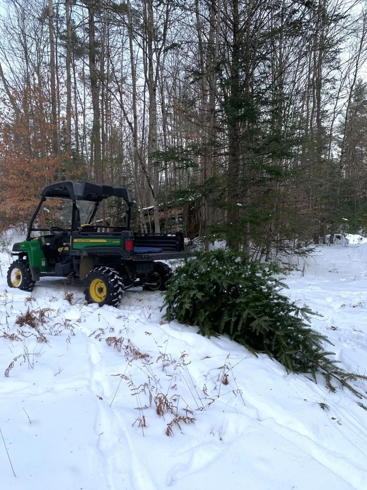 A little recap of holiday season life on the farm. We love finding our own tree, decorating and sledding! Hoping that our picking community has also been enjoying the season to the fullest! Happy Holidays to All!