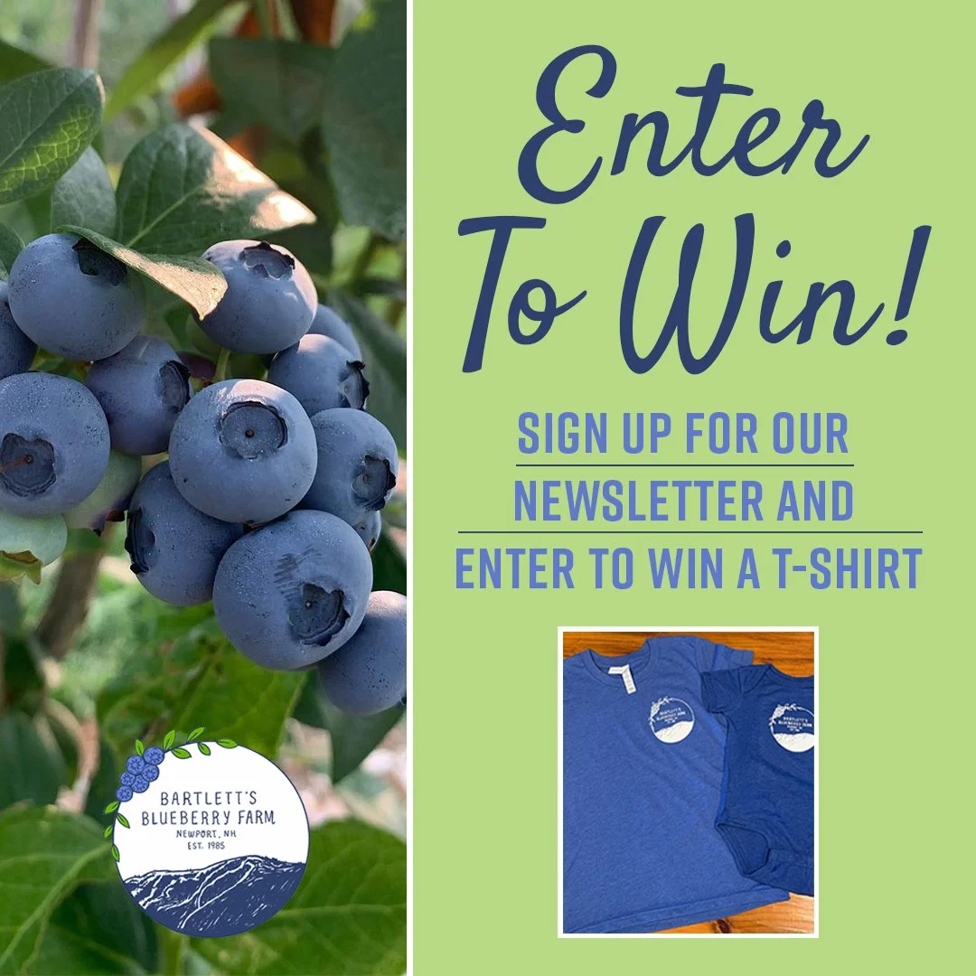 🫐🤩ENTER TO WIN! 🫐🤩

Do you love blueberries as much as we do? Subscribe to The Patch &ndash; the official e-newsletter of Barlett&rsquo;s Blueberry Farm &ndash; for your chance to win a FREE t-shirt. 

The Patch features our latest updates, farm 