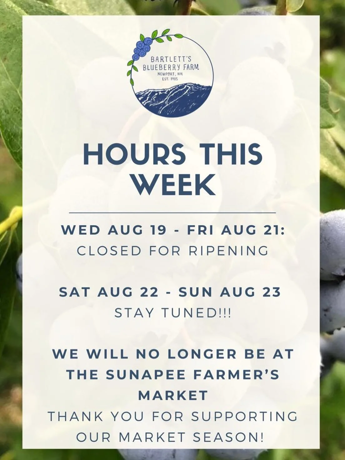 It&rsquo;s hard to predict what will happen this week - please stay tuned and we&rsquo;ll let you all know on Friday what our Saturday plans will be. We really hope we&rsquo;ll have some more great picking for you all, keeping fingers and toes crosse