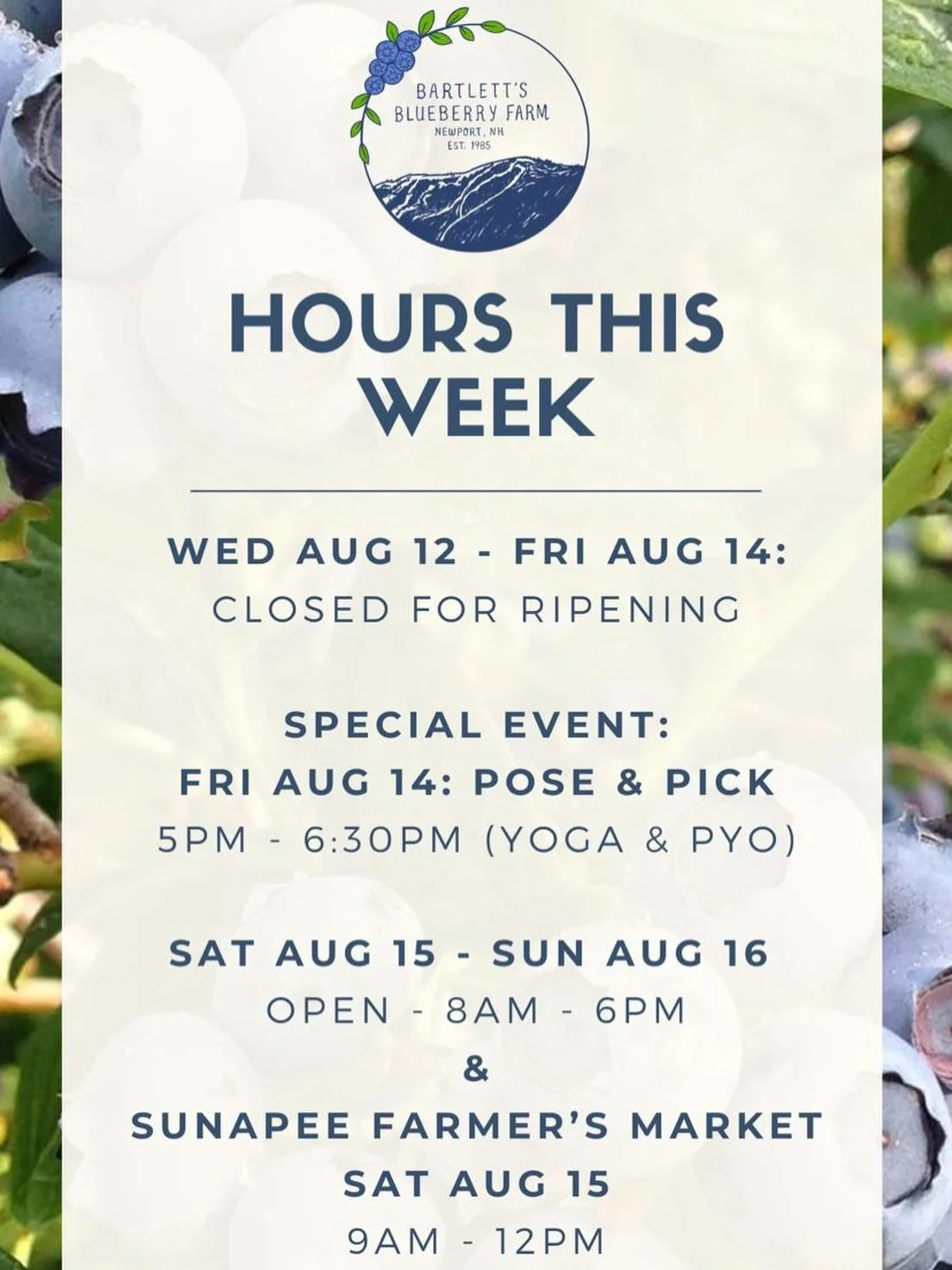 Getting to that point in the season - closed for ripening until Saturday Aug 15th. There will be a special event with @sunapeeyogacompany on Friday Aug 14th from 5pm - 6:30pm for 1 hour of yoga and 30 min of pick your own for yogis only!  After Pose 