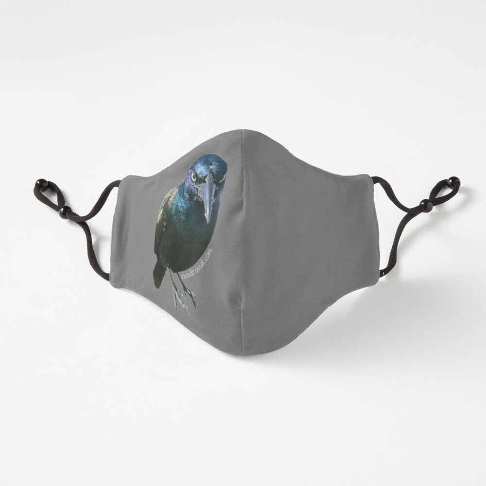 Count Grackula fitted mask