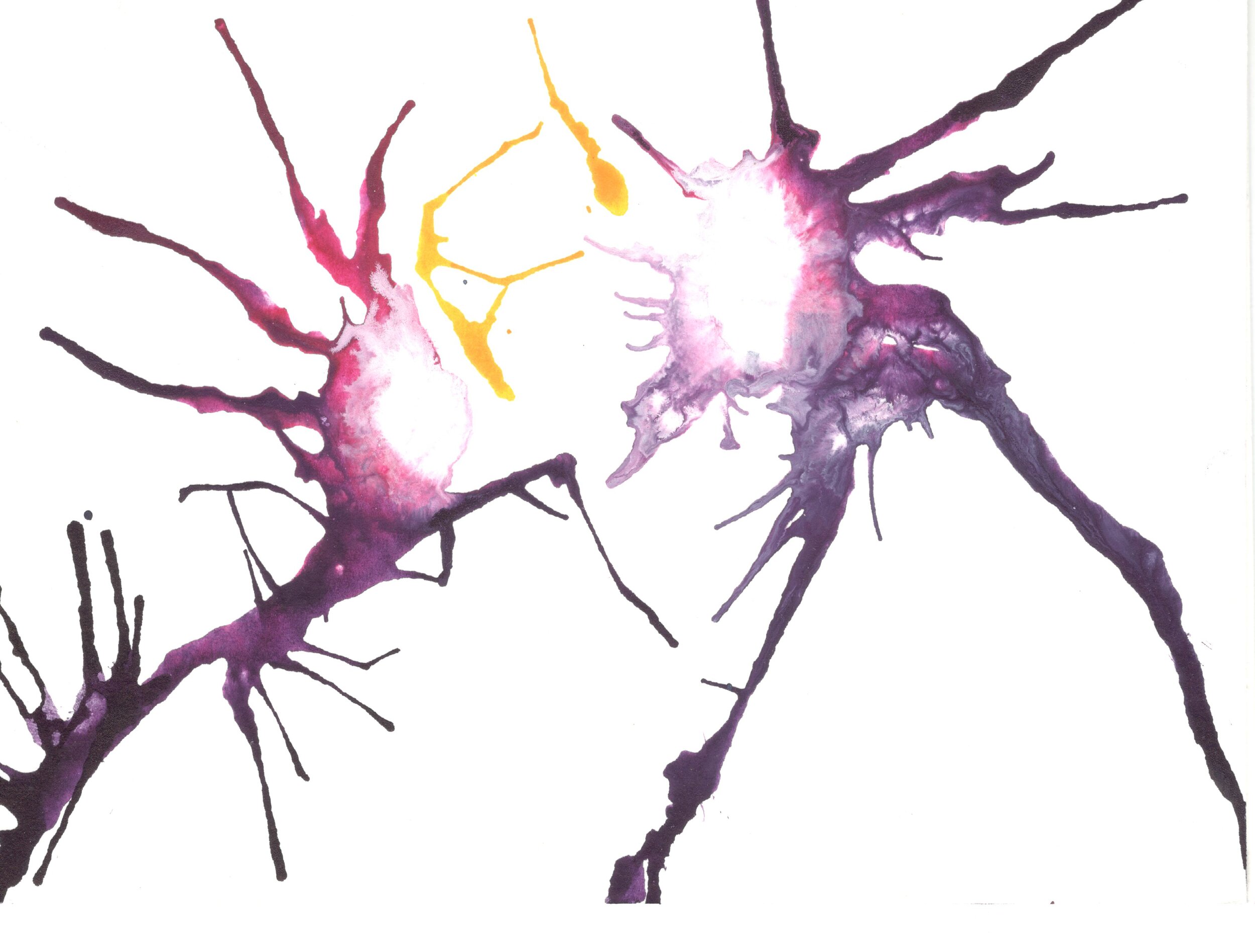 Love By Any Other Name