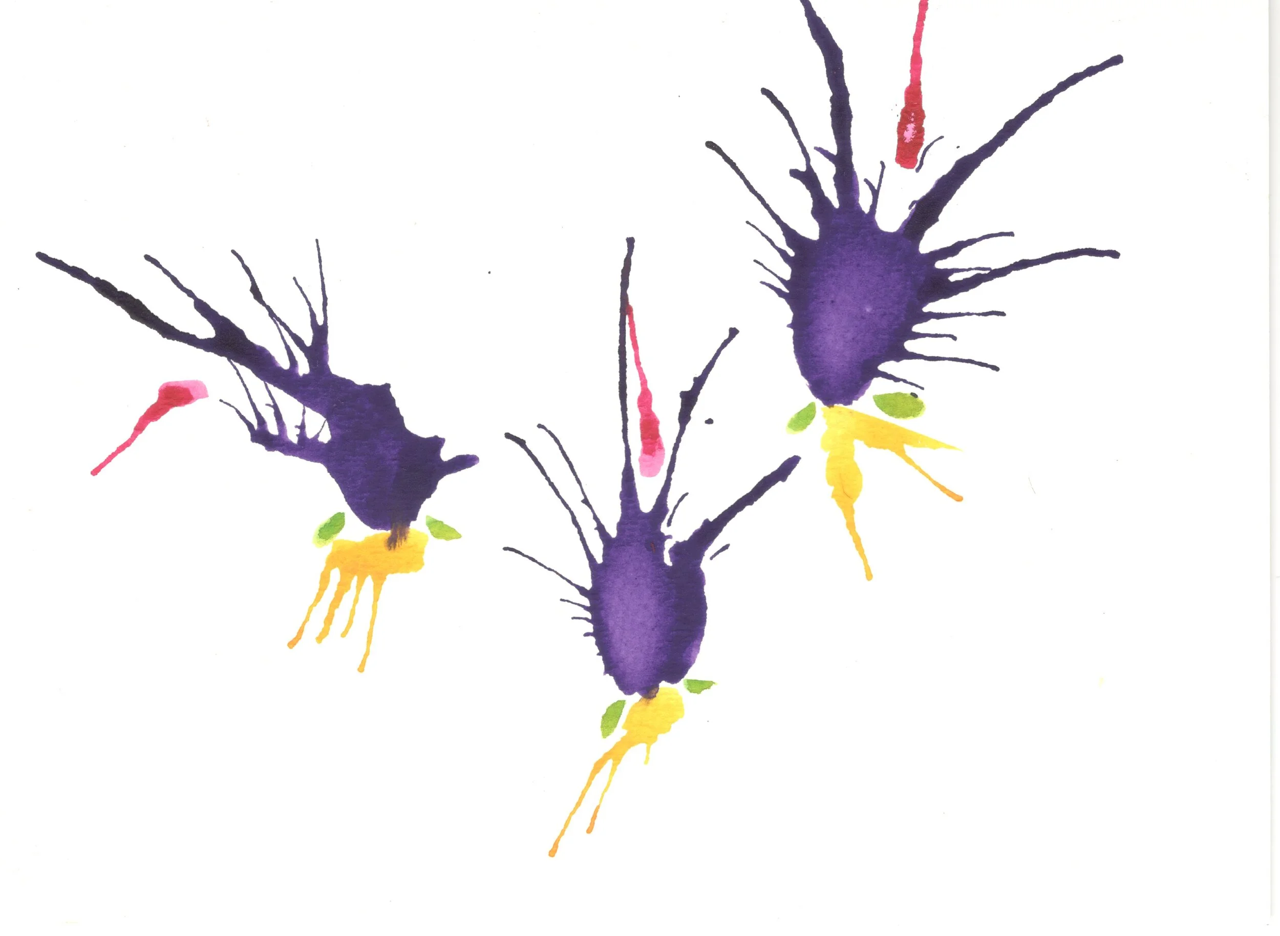 The Silliness of Certainty