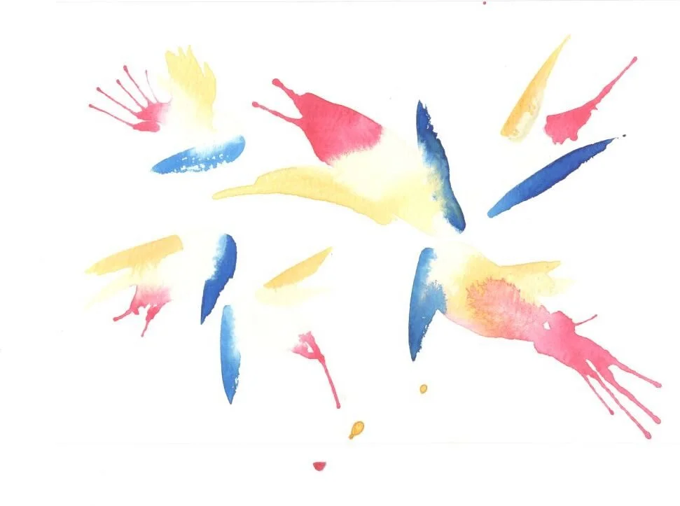 The Elegance of Universe