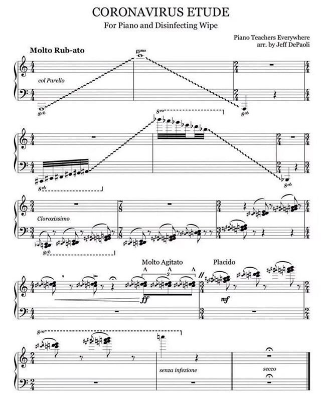 Practice, practice, practice!! 😂
#composerhumor #pianist #forpianoanddisinfectantwipe #coronavirus #covid19 #quarentine