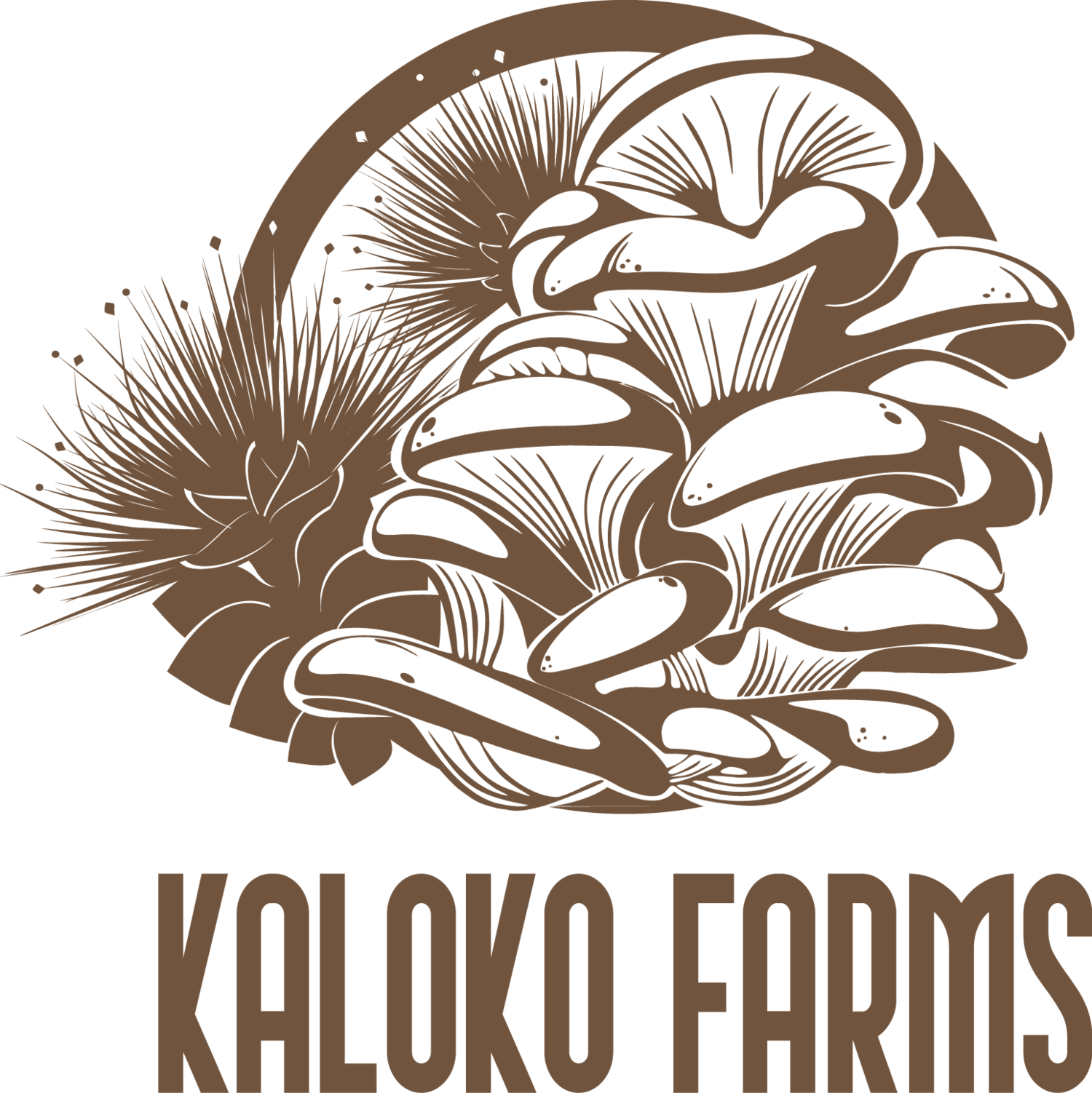 Kaloko Farms