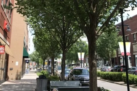 Home to the upscale Green Hills Mall, trendy restaurants and high-end shops. Variety of grocery stores including Whole Foods and Trader Joes. Mostly higher-rent housing including single-family homes and some apartment complexes.