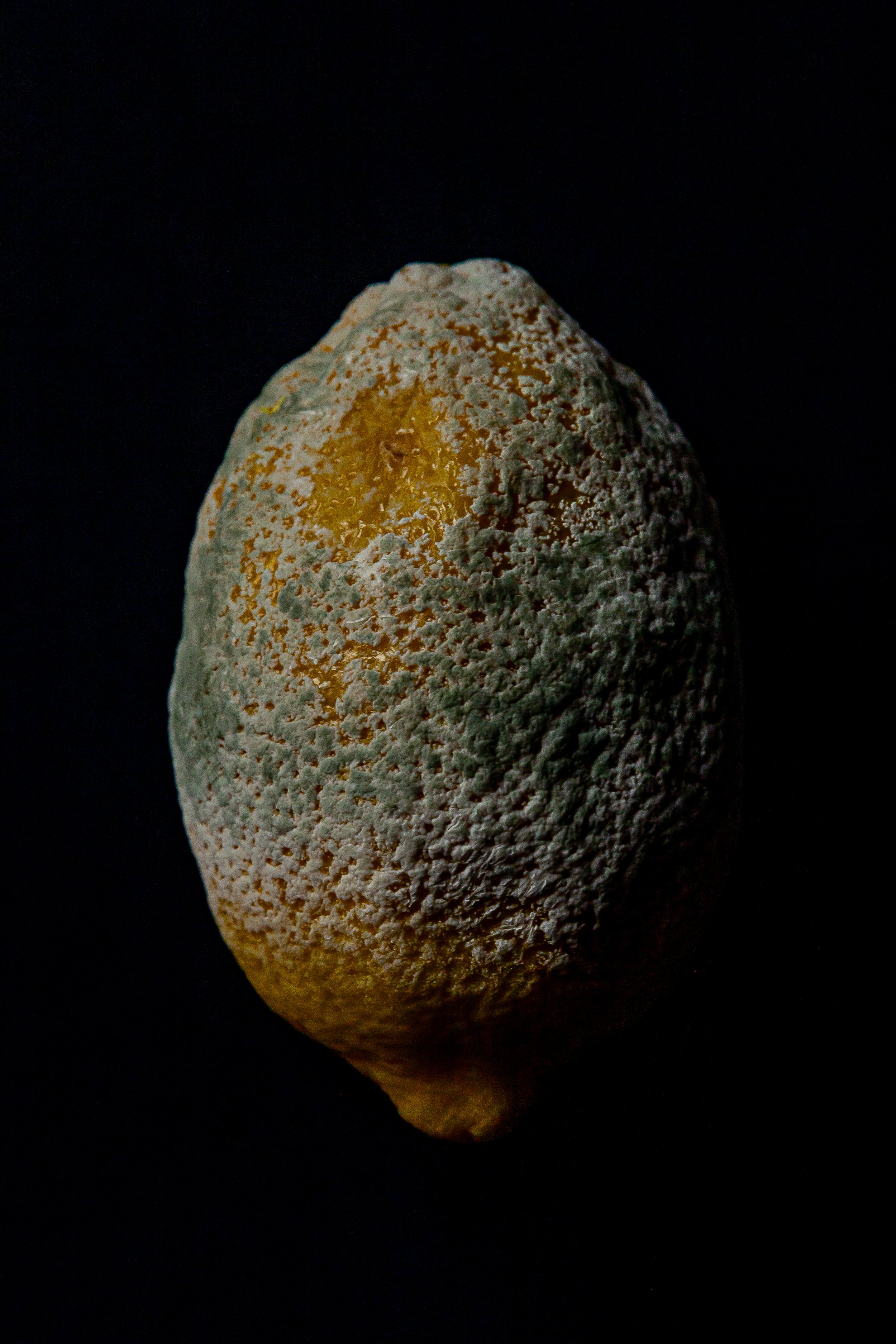 LEMONS_-9.jpg