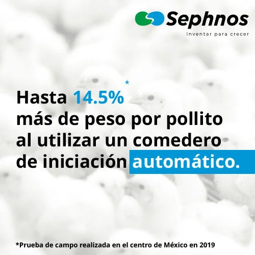  ¿Cómo puedo mejorar la ganancia de peso en mi producción avícola?