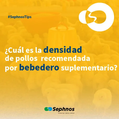 Tip 8 | Avicultura | Densidad de pollos más recomendada por bebedero suplementario.