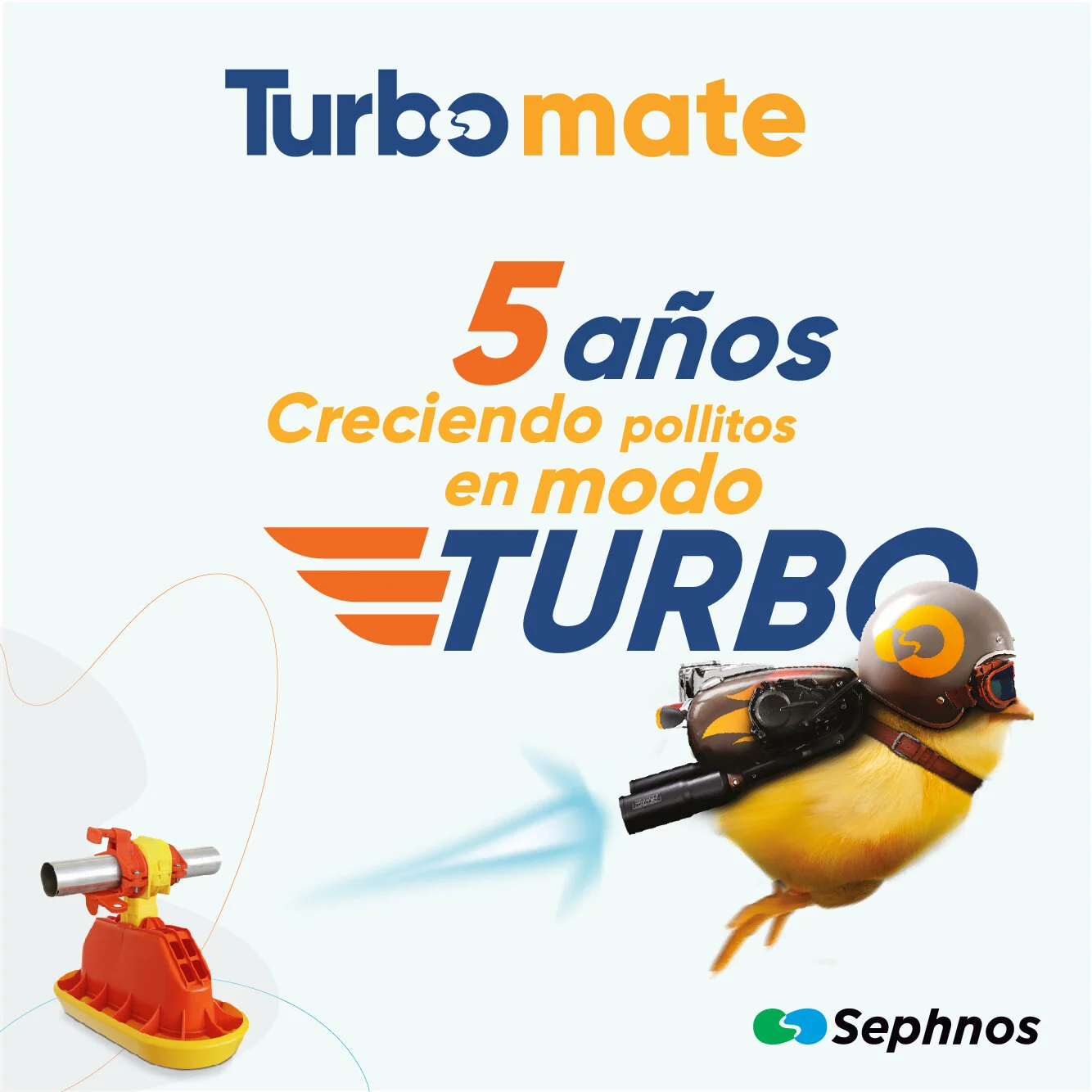 Turbomate | 5 años creciendo pollitos en modo turbo