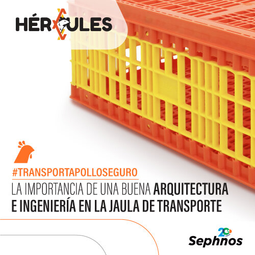TIP 2 | Jaula de transporte de pollo “HERCULES”. | La importancia de una buena arquitectura e ingeniería en la jaula de transporte de pollos. 