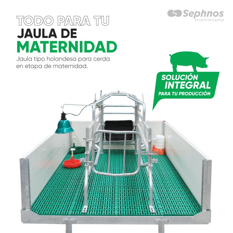 Jaula-maternidad-Insta.jpg