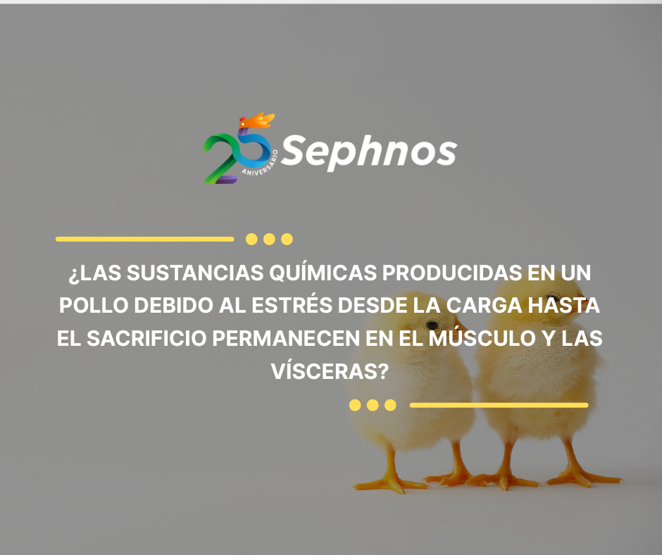 TIP 63 | AVICULTURA | Efectos del estrés en el músculo del pollo