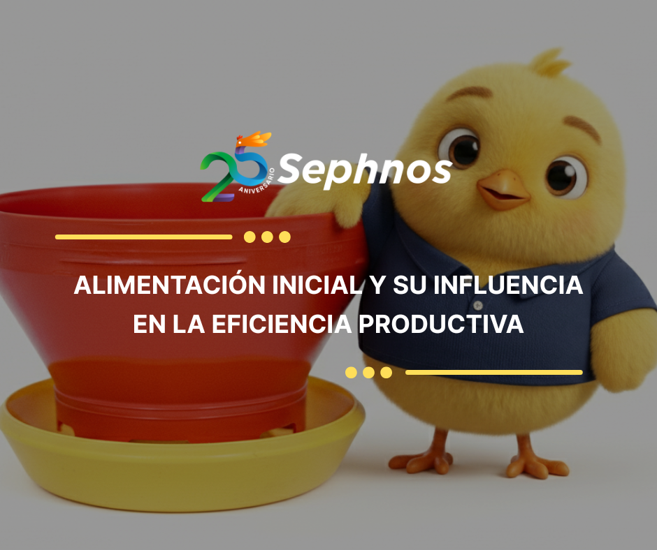 Alimentación inicial y su influencia en la eficiencia productiva