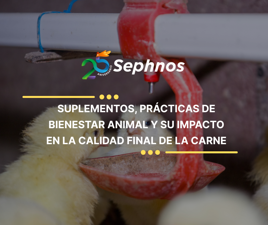 Suplementos, prácticas de bienestar animal y su impacto en la calidad final de la carne.