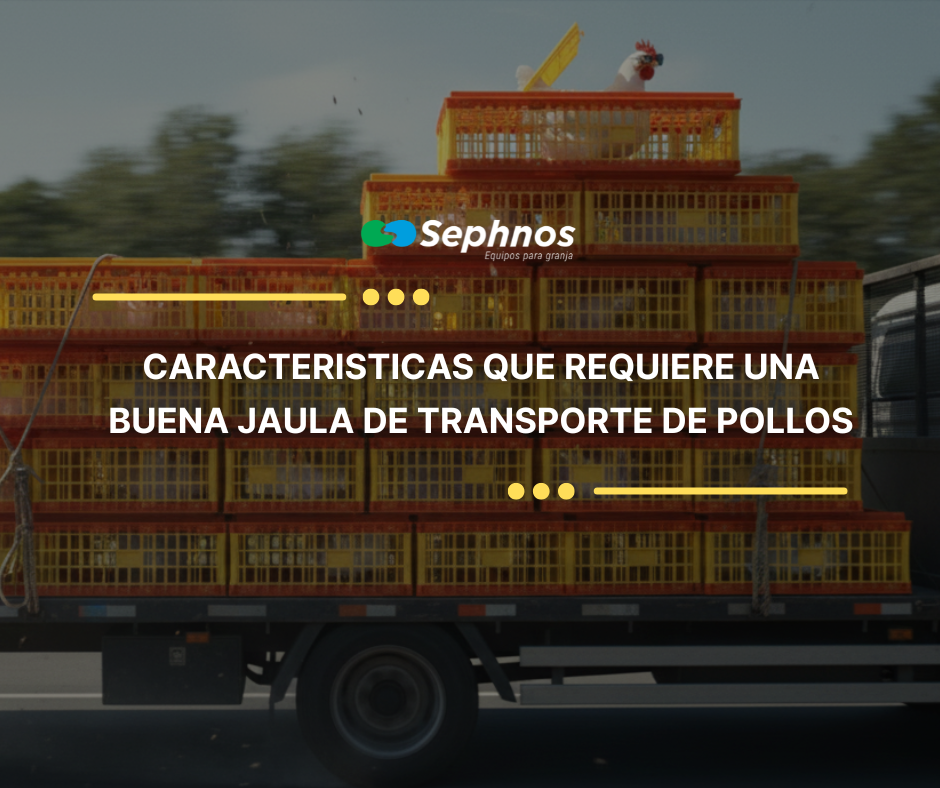 CARACTERISTICAS QUE REQUIERE UNA BUENA JAULA DE TRANSPORTE DE POLLOS