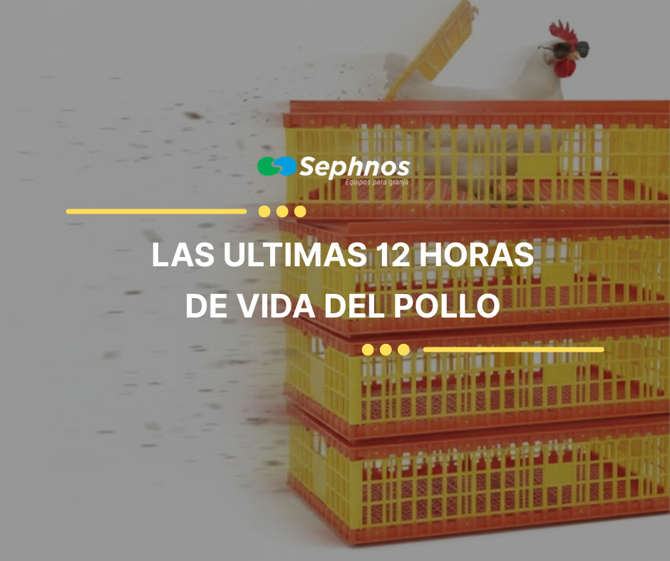 La rentabilidad viaja en la caja: el impacto del transporte